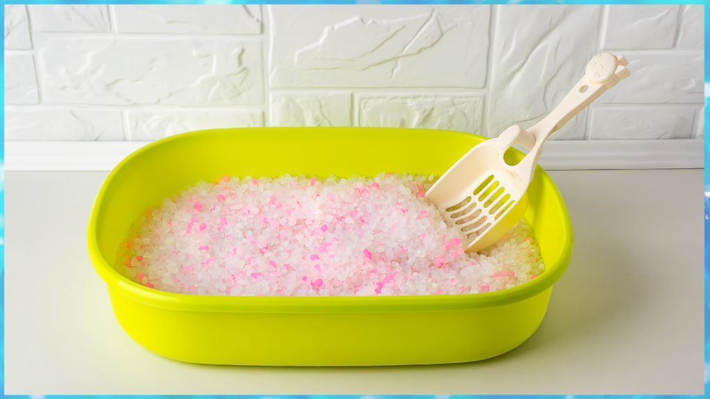 odor free litter box