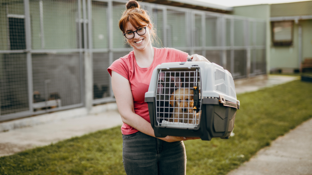 animal shelter
